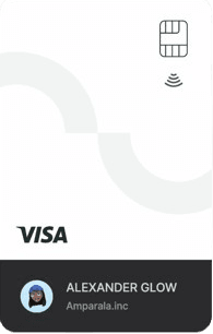 visa card1
